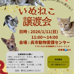 いぬねこ譲渡会
