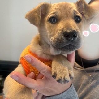 5兄妹の末っ子くん【からみ君】