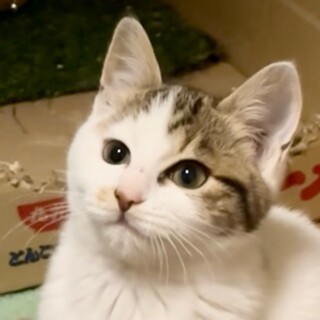 お家がきまりました！