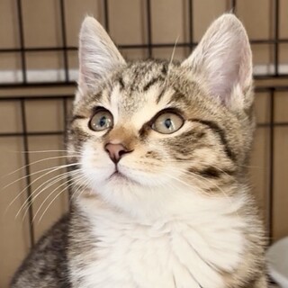 お家が決まりましま！