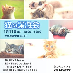 名古屋　猫の譲渡会