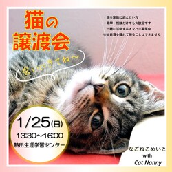 名古屋　猫の譲渡会