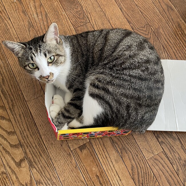 kanaikanaiのカバー写真