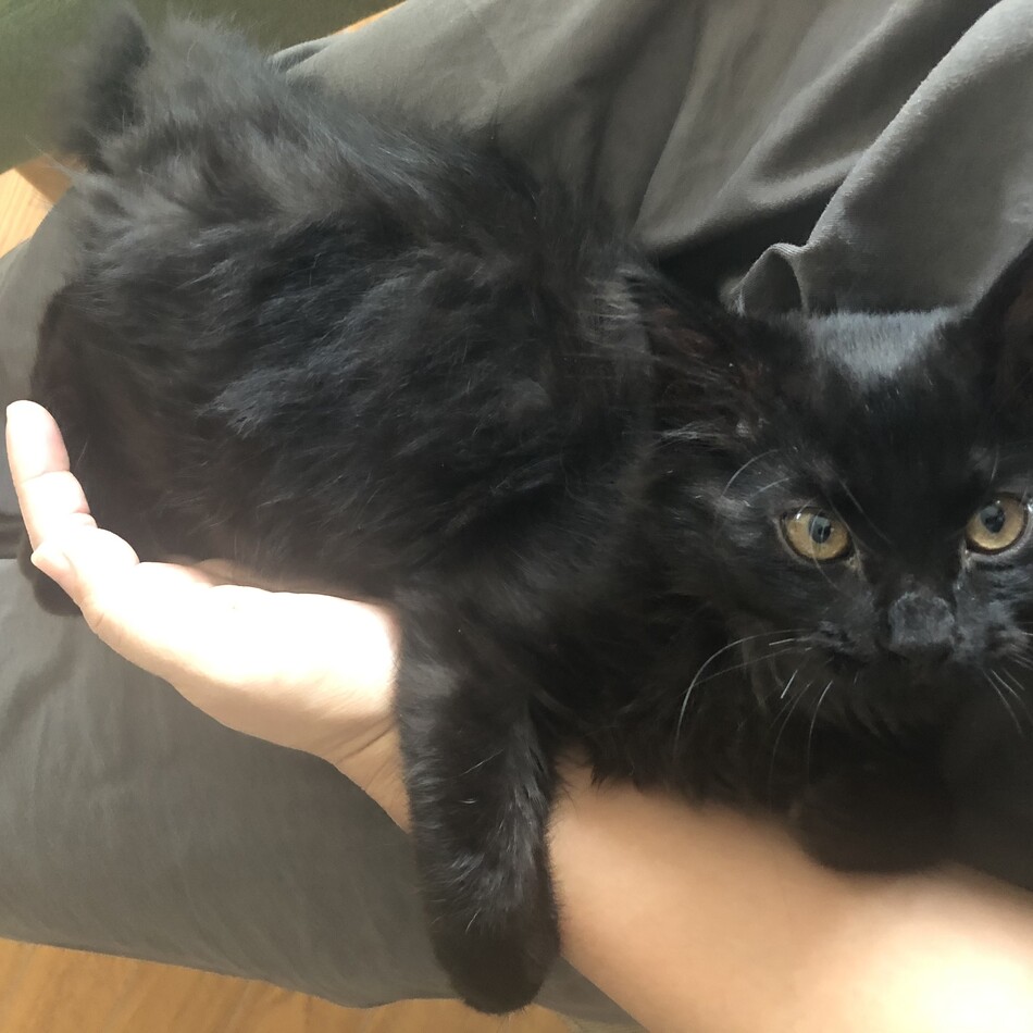 ソラのカバー写真