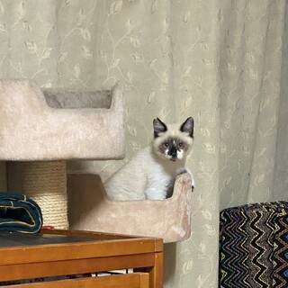 やんちゃで可愛い盛りです