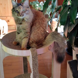 ������҂�ӂ�ӂ��肿����2�ˈʁI