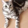 ゴン太まる