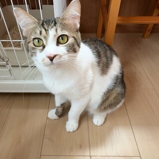 人が大好き！控え目甘えん坊の宝くん