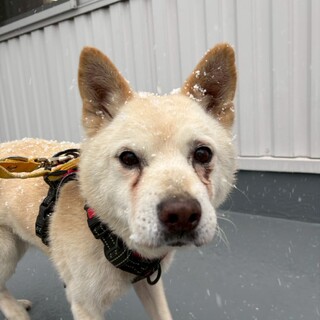 にこにこ笑顔がかわいい【夏恋】くん