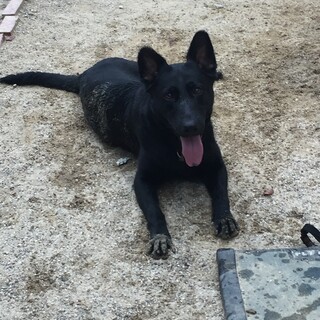 6歳の小振りな女の子