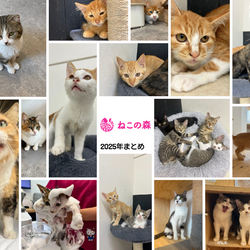 「2026年もよろしくお願いいたします」サムネイル2