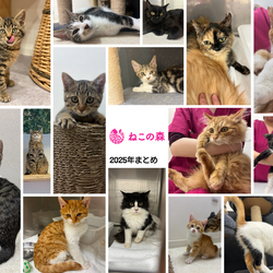 「2026年もよろしくお願いいたします」サムネイル3