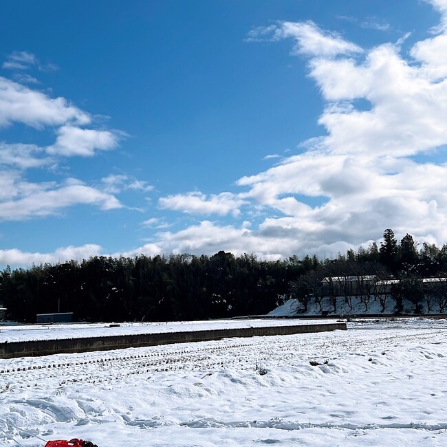 フミ13のカバー写真