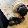 まなかりか