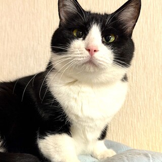 シャイな黒白マルちゃん！