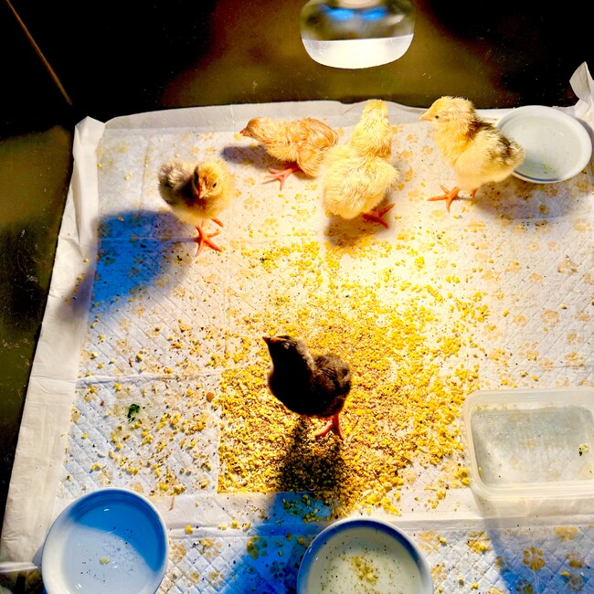 R_23のカバー写真