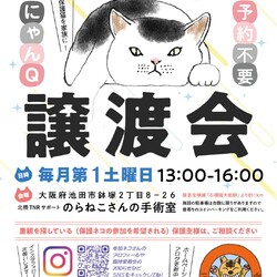 にゃんＱ譲渡会！