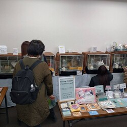 手作り雑貨と保護うさぎVol.7 サムネイル2