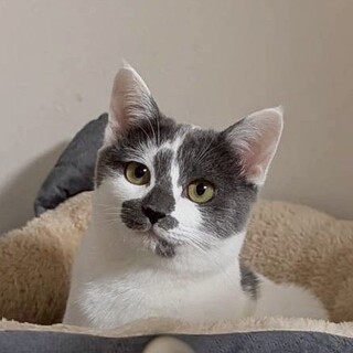 1/25高田馬場★こうしちゃん★のんびり大らか女子