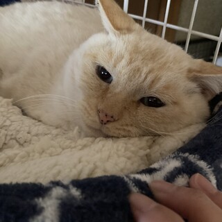 兄弟一緒に行動していた、にいにぃとオト君