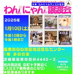 わんにゃん譲渡会☆子犬ちゃん多数！