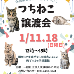 つちねこ譲渡会