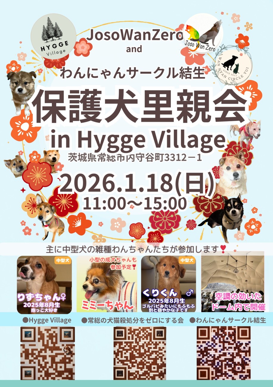 保護犬里親会（屋内なので」（わんにゃんサークル結生のイベント
