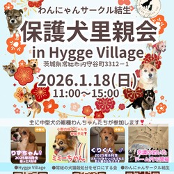 保護犬里親会（屋内なので雨でも開催） サムネイル1