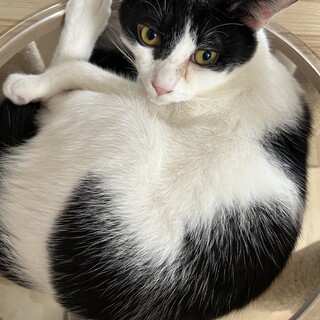 工場で保護された工場長の幸ちゃん