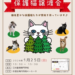 なみねこ譲渡会