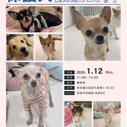 forわんDog譲渡会at徳浄寺