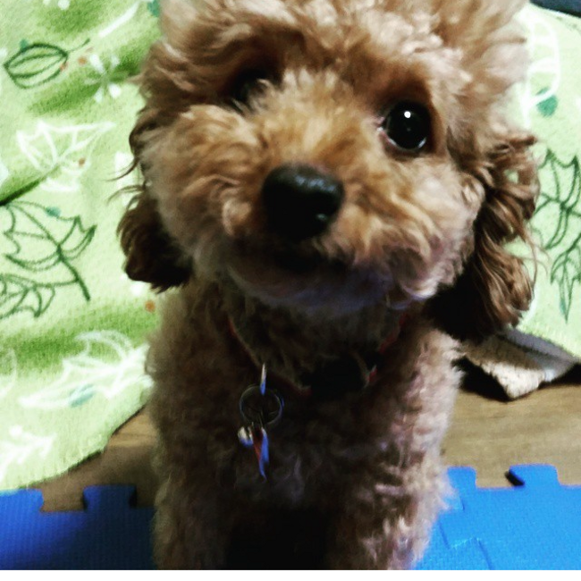 あぜぴーのカバー写真