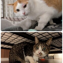 あけましておめでとうございます。