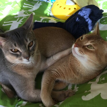 ちょっとビビりな弟もいたんだよ