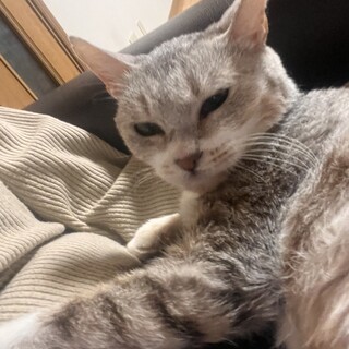 甘えん坊で良い子です