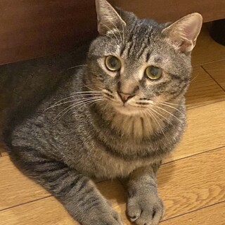 耳の聞こえない男の子⭐︎