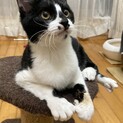 甘えん坊な男の子⭐︎