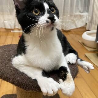 甘えん坊な男の子⭐︎