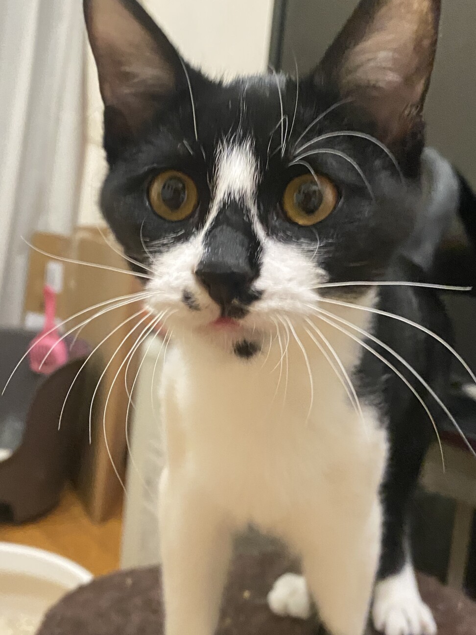 甘えん坊な男の子⭐︎ サムネイル2