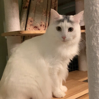 人見知りな女の子♡