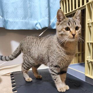 生後8ヶ月☆人が大好き女の子♪