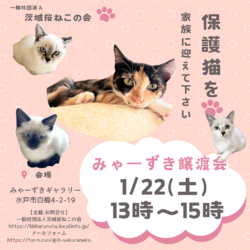 みゃーずき譲渡会