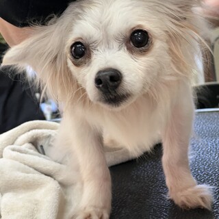 のんびり過ごしたい あさひ