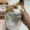 シャイだけど本当は甘えたい、みずたま君 サムネイル2