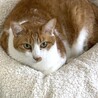 シャイだけど本当は甘えたい、みずたま君 サムネイル3