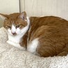シャイだけど本当は甘えたい、みずたま君 サムネイル4