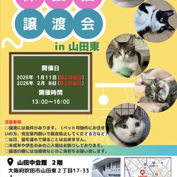 第２５回nekomeeting保護猫譲渡会in山田東
