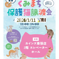 くみまち保護猫譲渡会＠カインズ幕張店