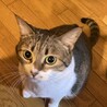 大きめ女の子♡ サムネイル3