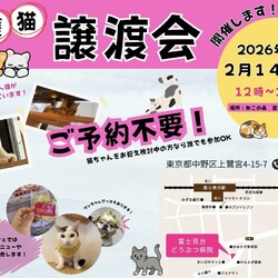 ねこの森保護猫譲渡会
